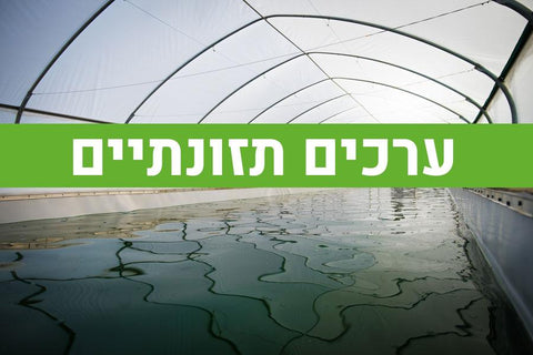 ספירולינה - ערכים תזונתיים - SimpliiGood - ספירולינה