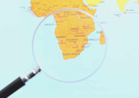 ספירולינה ו-1000 הימים הראשונים: מה אפשר ללמוד מהמחקר בזמביה? - SimpliiGood - ספירולינה